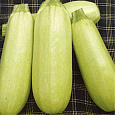 Кабачок Казанова
